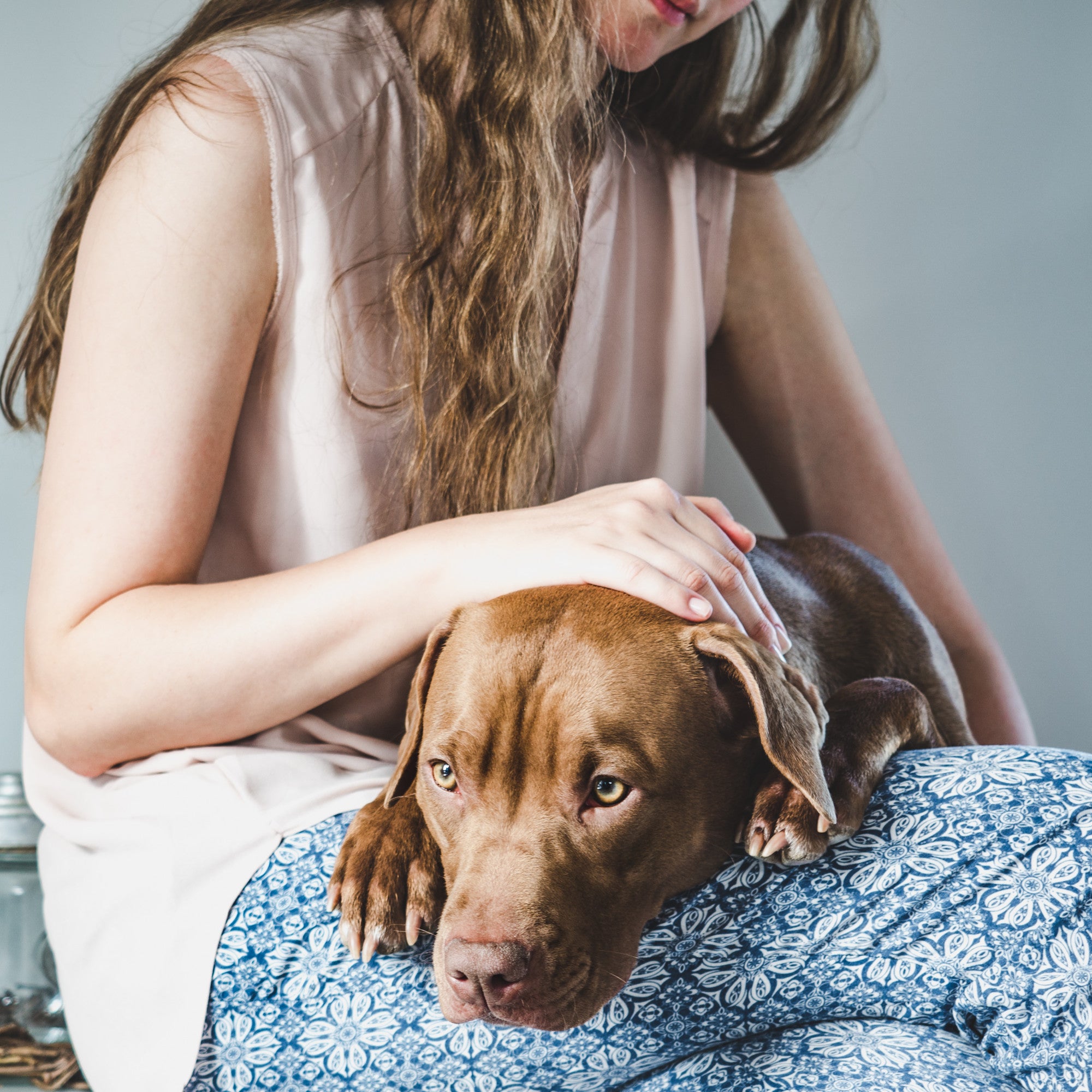 The Pet Podium Store