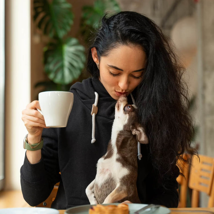 The Pet Podium Store