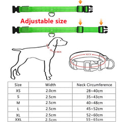Reflective LED Dog and Cat Collar - Adjustable, Anti-Lost Night Gear