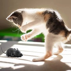 Wireless Cat Toy Mouse – Interactive 4-Way Remote Control Play