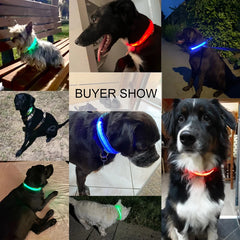 Reflective LED Dog and Cat Collar - Adjustable, Anti-Lost Night Gear